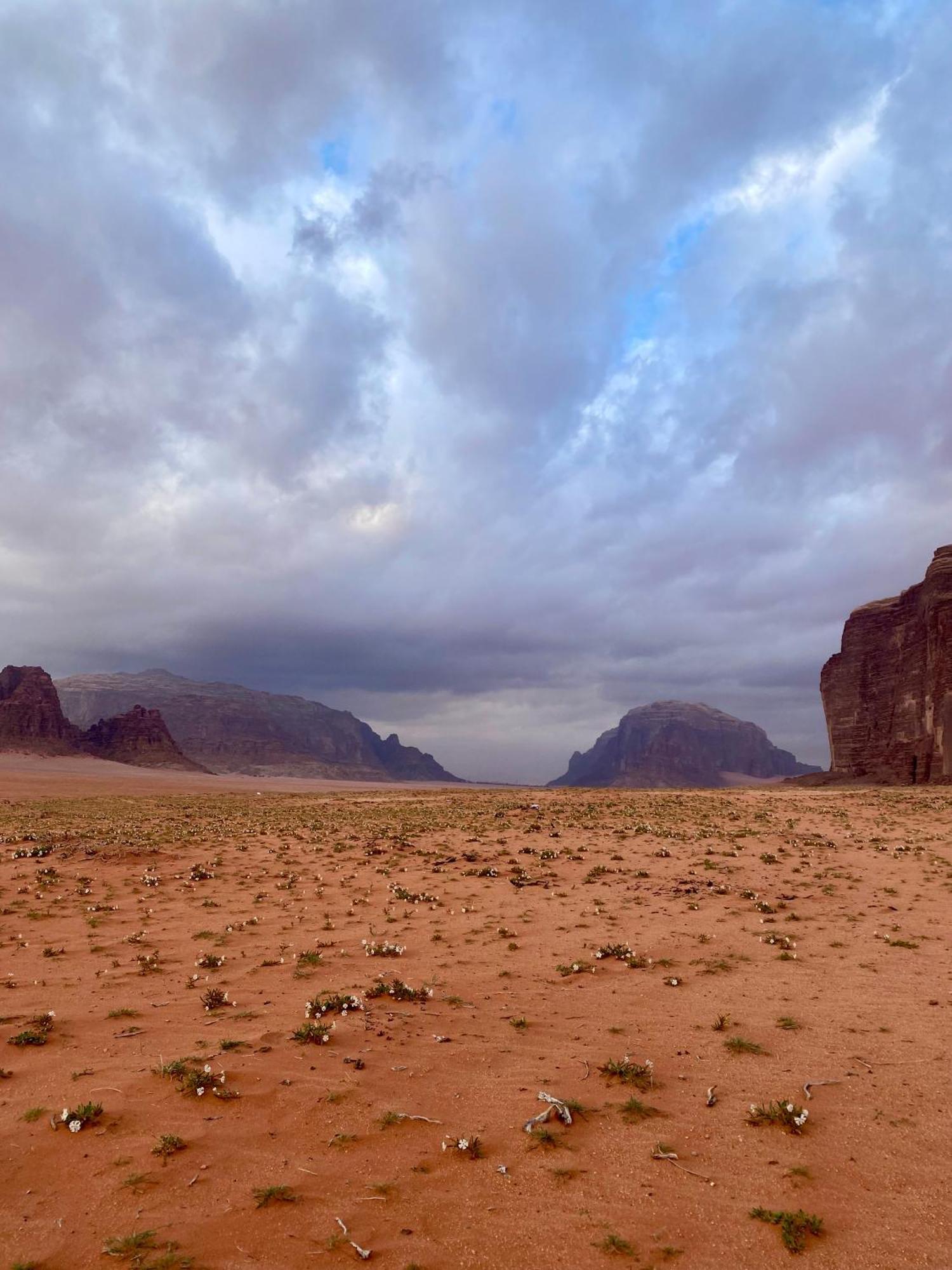 Glamp Camp Wadi Rum Exterior photo